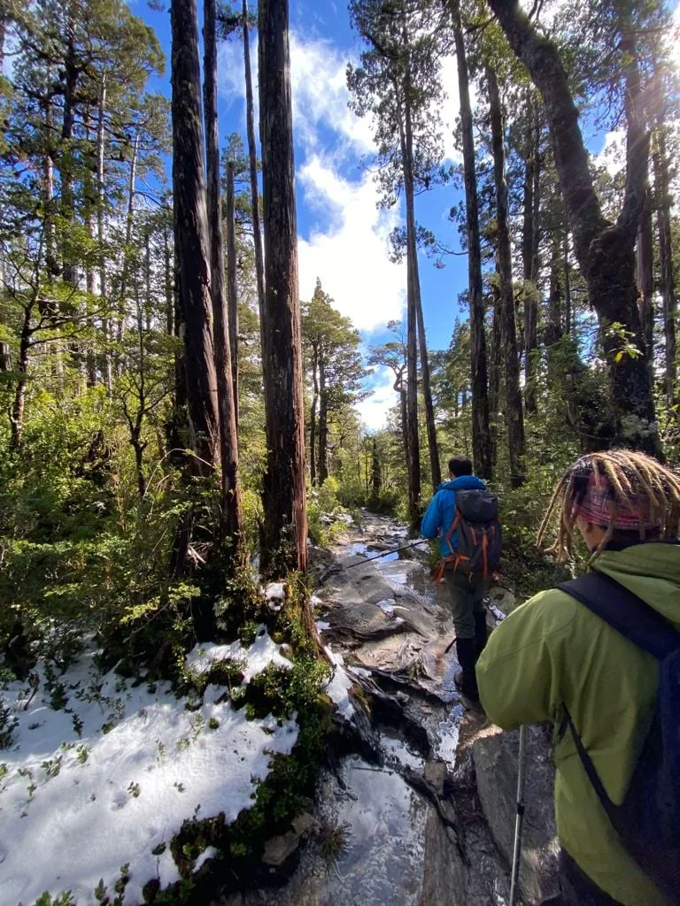 Cordillera en la Región de Los Ríos, Chile